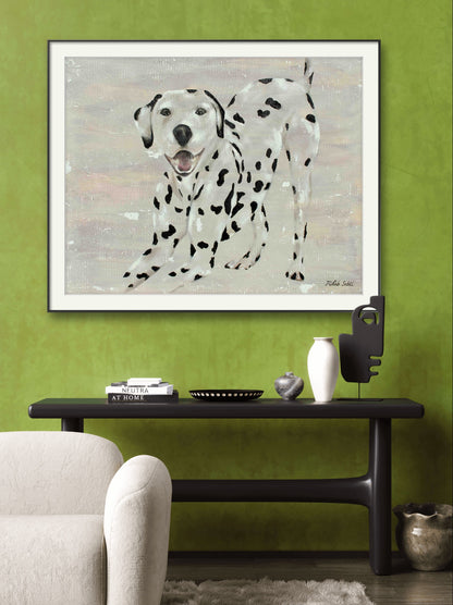 The darling Dalmatian