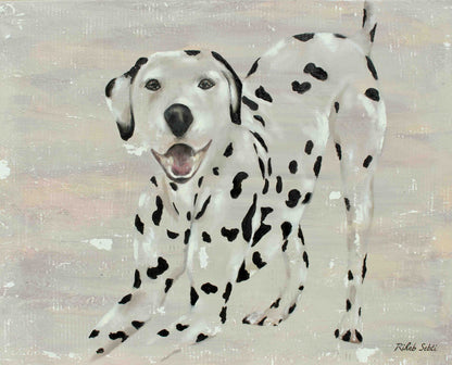 The darling Dalmatian